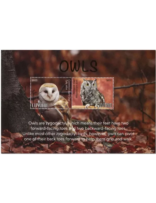 n° 696 - Timbre GUYANA Blocs et feuillets