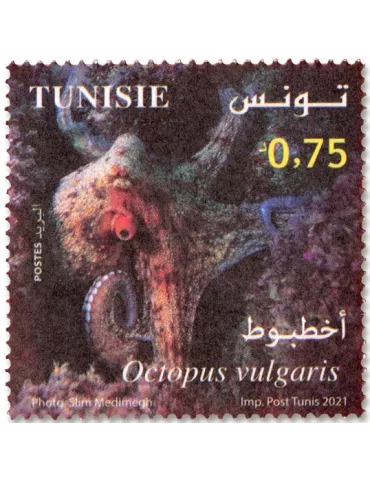 n° 1950/1953 - Timbre TUNISIE Poste 2