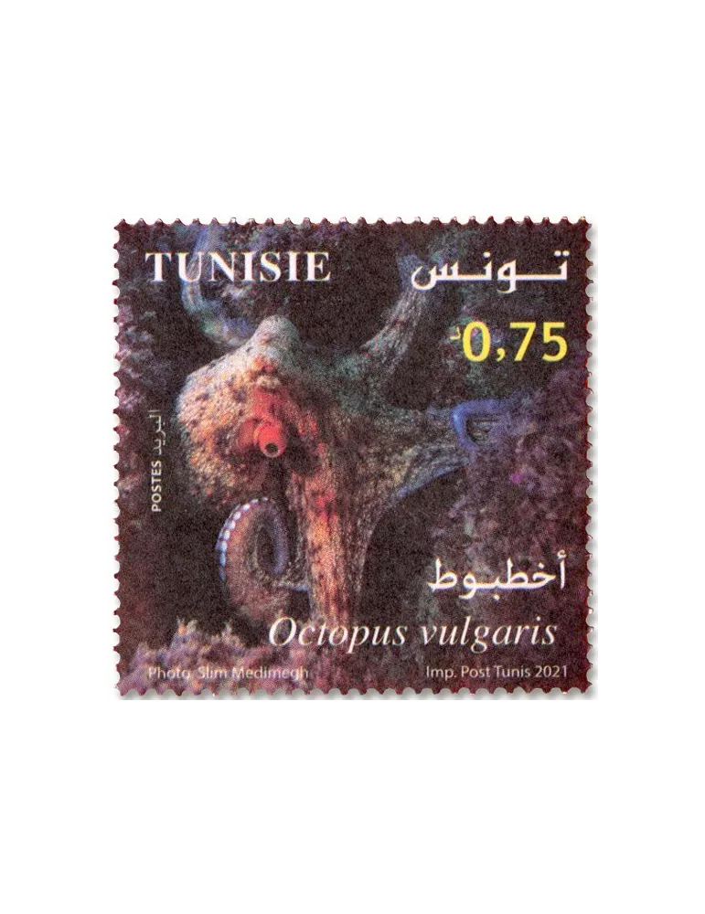 n° 1950/1953 - Timbre TUNISIE Poste