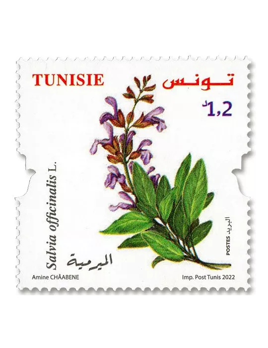 n° 1976/1979 - Timbre TUNISIE Poste