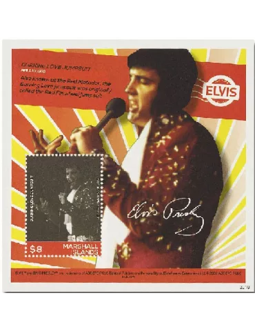 n° 118 - Timbre MARSHALL Blocs et feuillets