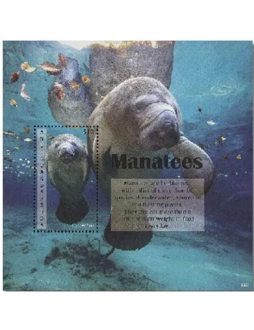 n° 801 - Timbre ANTIGUA Blocs et feuillets