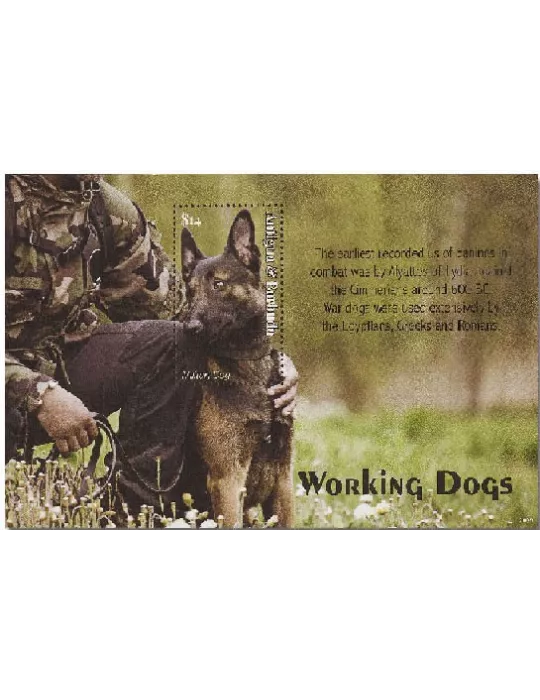 n° 802 - Timbre ANTIGUA Blocs et feuillets