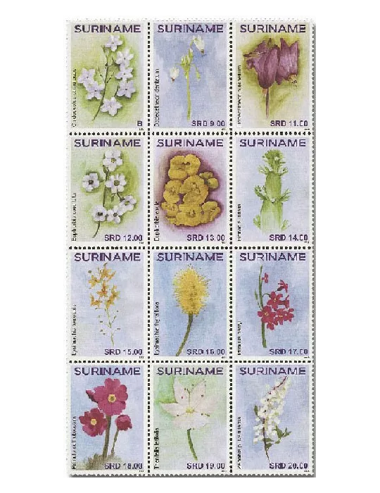 n° 2993/3004 - Timbre SURINAM Poste