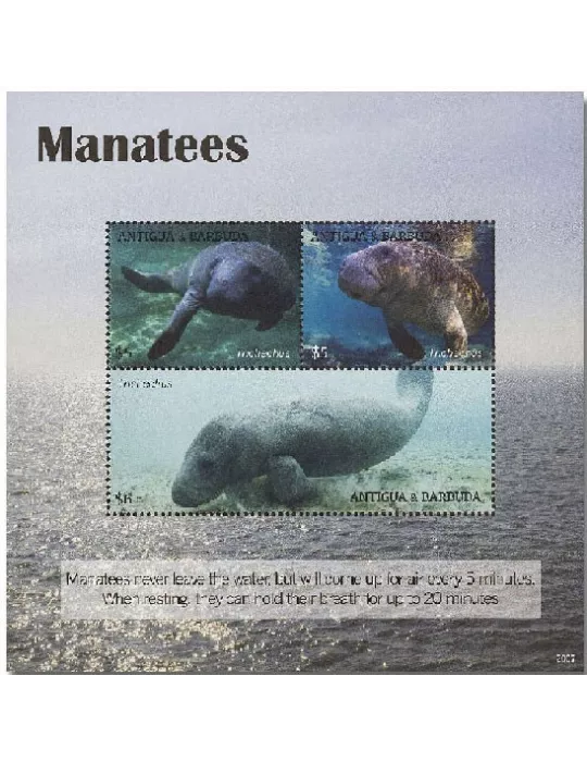 n° 5041/5043 - Timbre ANTIGUA Poste