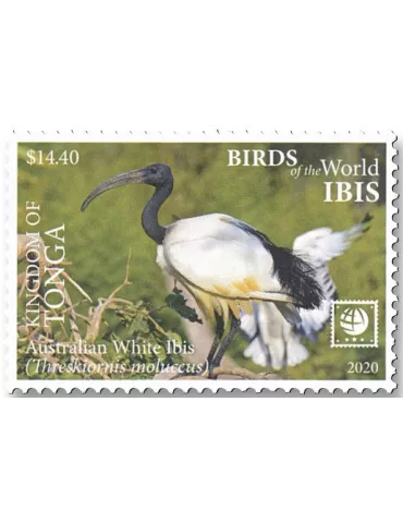 n° 1598/1601 - Timbre TONGA Poste