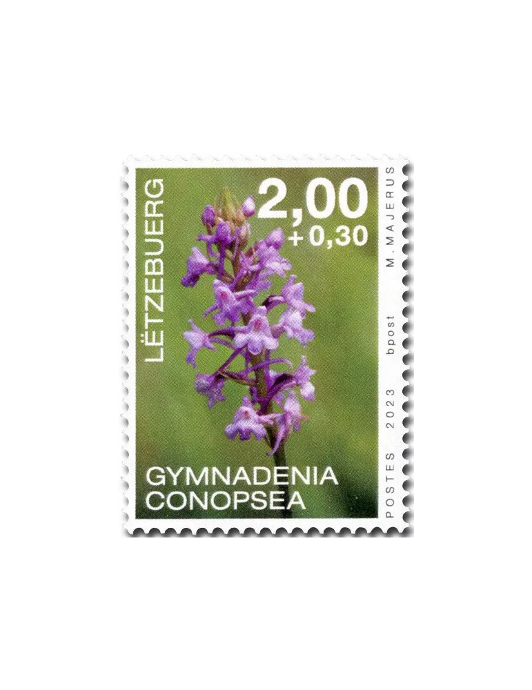 n° 2290/2293 - Timbre LUXEMBOURG Poste