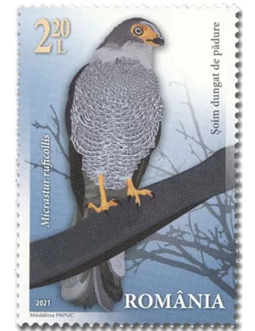 n° 6681/6684 - Timbre ROUMANIE Poste