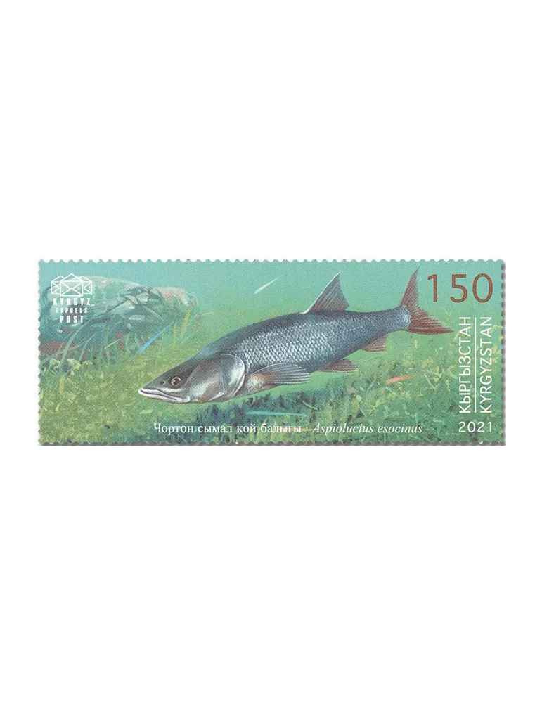 n° 141/144 - Timbre KIRGHIZISTAN (Kyrgyz Express Post) Poste