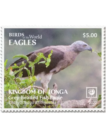 n° 1712/1715 - Timbre TONGA Poste