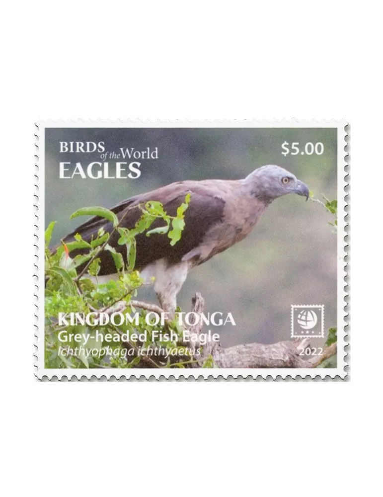 n° 1712/1715 - Timbre TONGA Poste