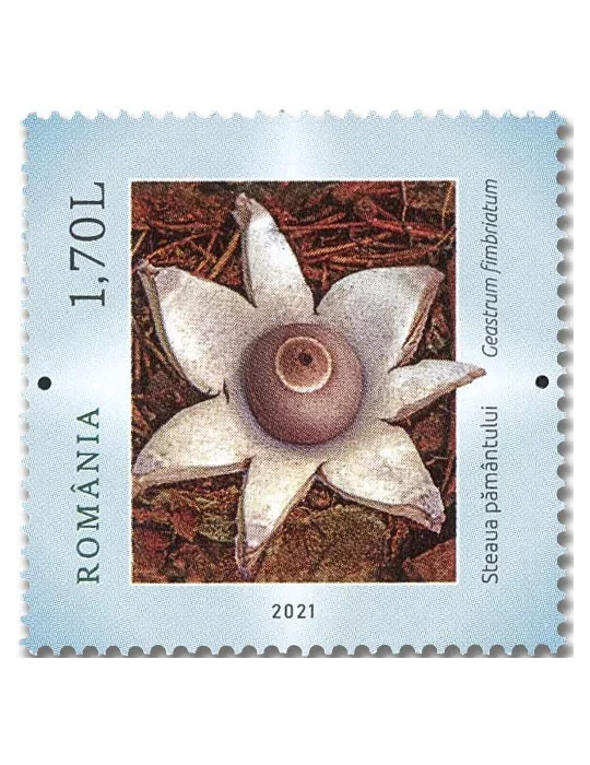n° 6708/6713 - Timbre ROUMANIE Poste