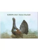 n° C826 - Timbre SLOVAQUIE Carnets (EUROPA)