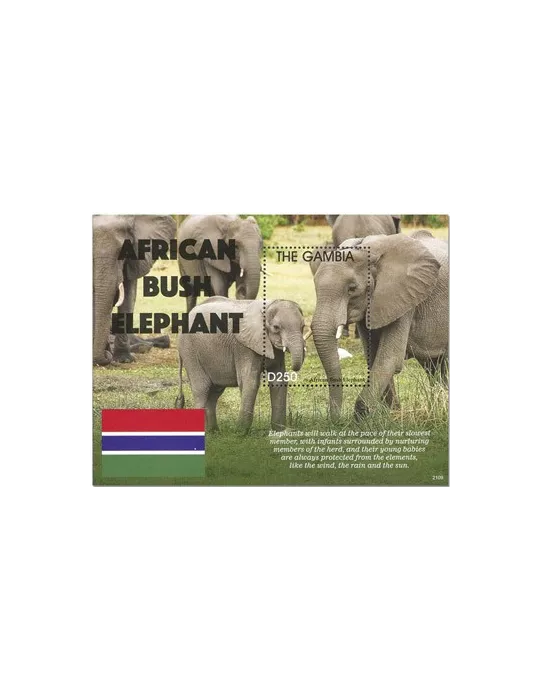 n° 949 - Timbre GAMBIE Blocs et feuillets