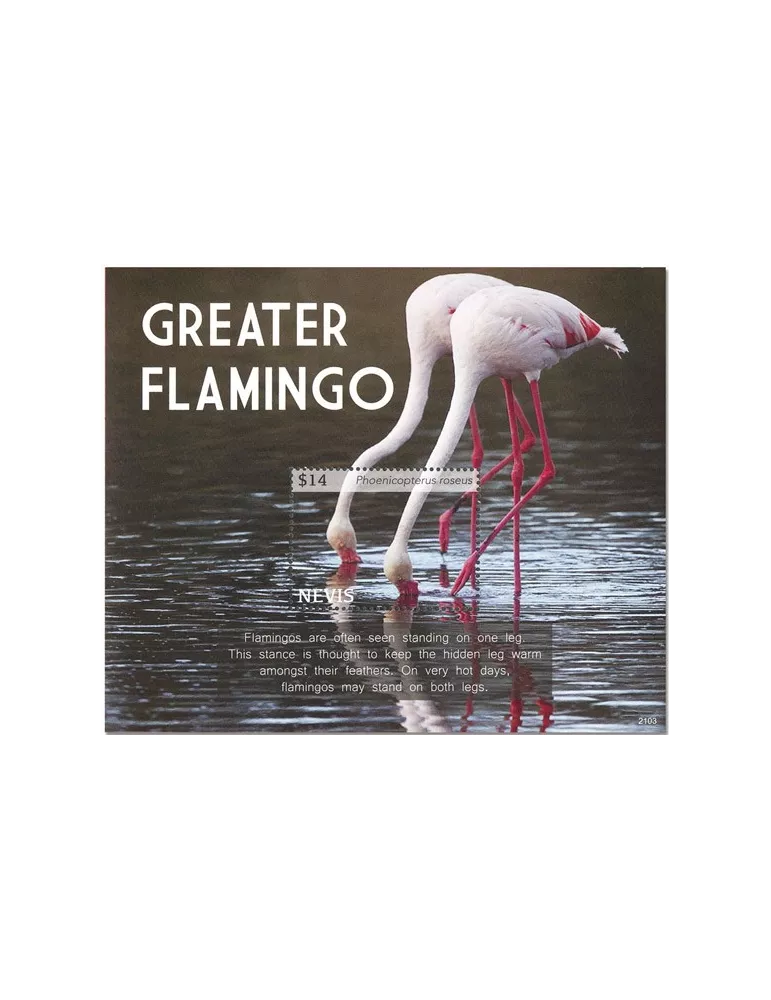 n° 417 - Timbre NEVIS Blocs et feuillets