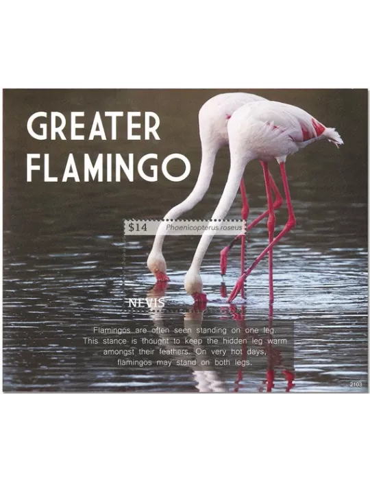 n° 417 - Timbre NEVIS Blocs et feuillets