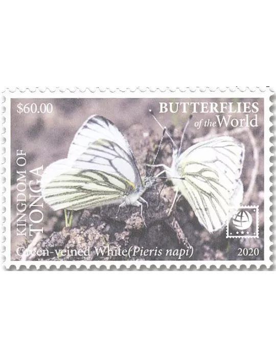 n° 1638/1641 - Timbre TONGA Poste