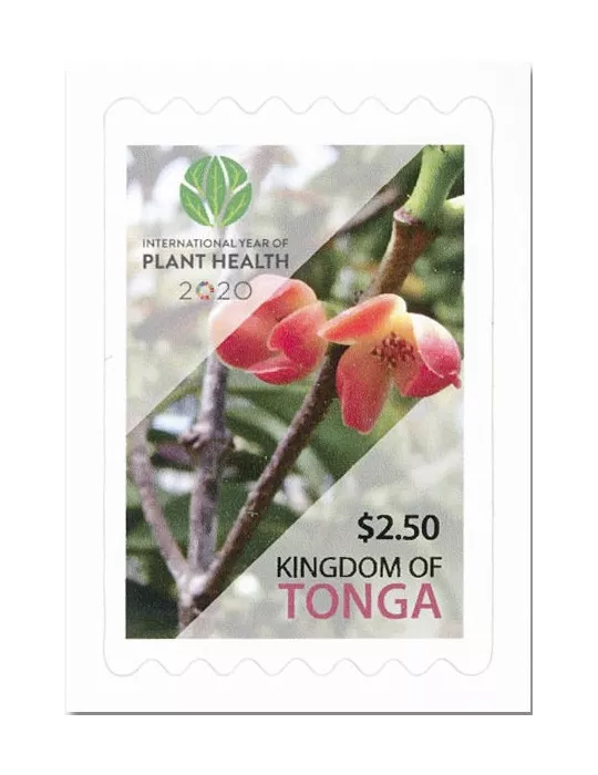 n° 1672/1673 - Timbre TONGA Poste