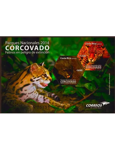 n° 34 - Timbre COSTA RICA Blocs et feuillets