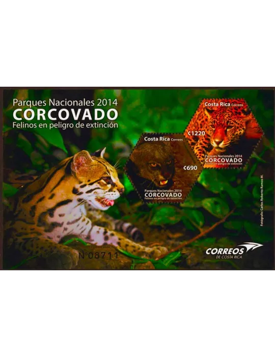 n° 34 - Timbre COSTA RICA Blocs et feuillets