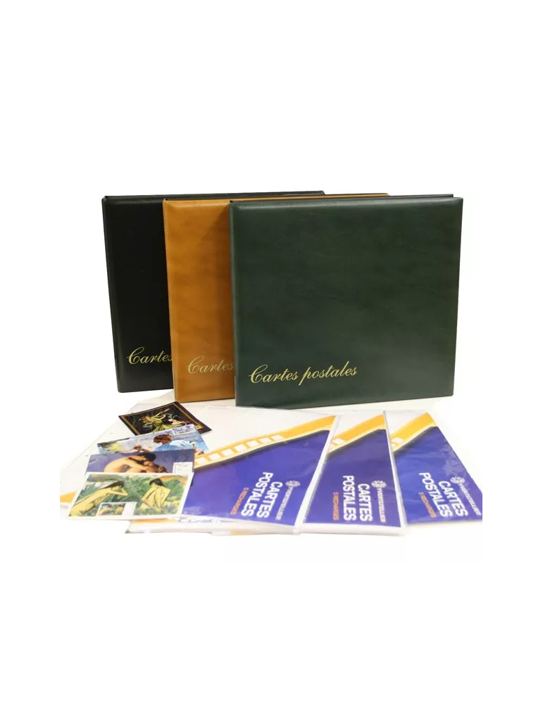 ALBUM CARTES POSTALES LUXE + recharges (CP modernes)