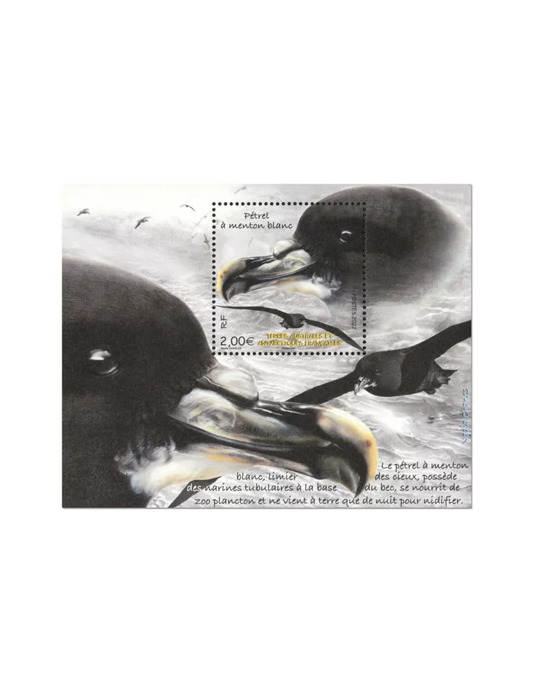 n° F1008 - Timbre TAAF Poste