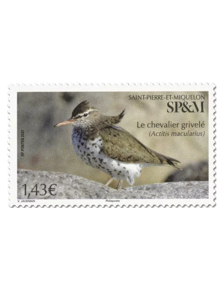 n° 1277 - Timbre Saint-Pierre et Miquelon Poste