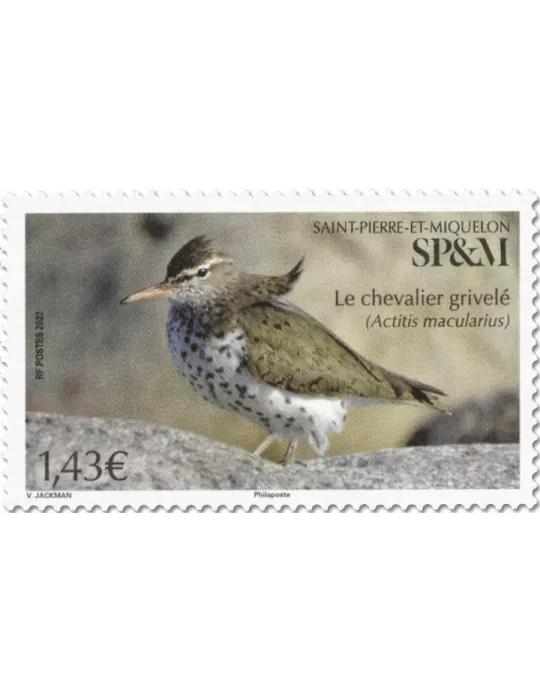 n° 1277 - Timbre Saint-Pierre et Miquelon Poste