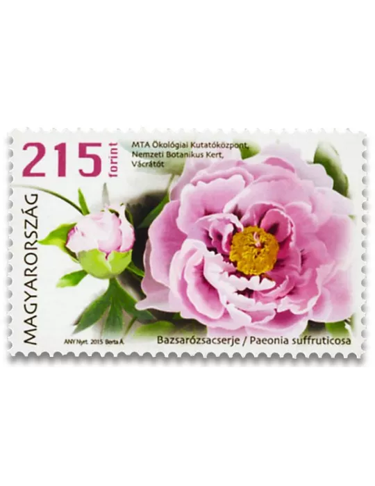 n° 4621/4622 - Timbre HONGRIE Poste