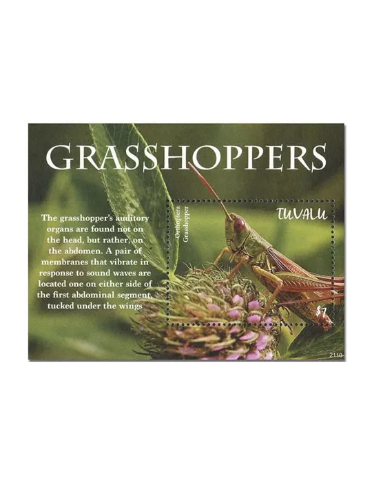 n° 309 - Timbre TUVALU Blocs et feuillets