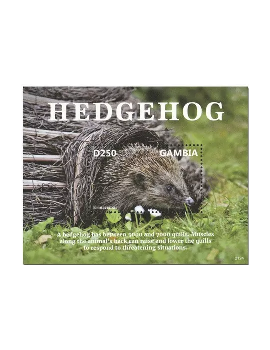 n° 961 - Timbre GAMBIE Blocs et feuillets