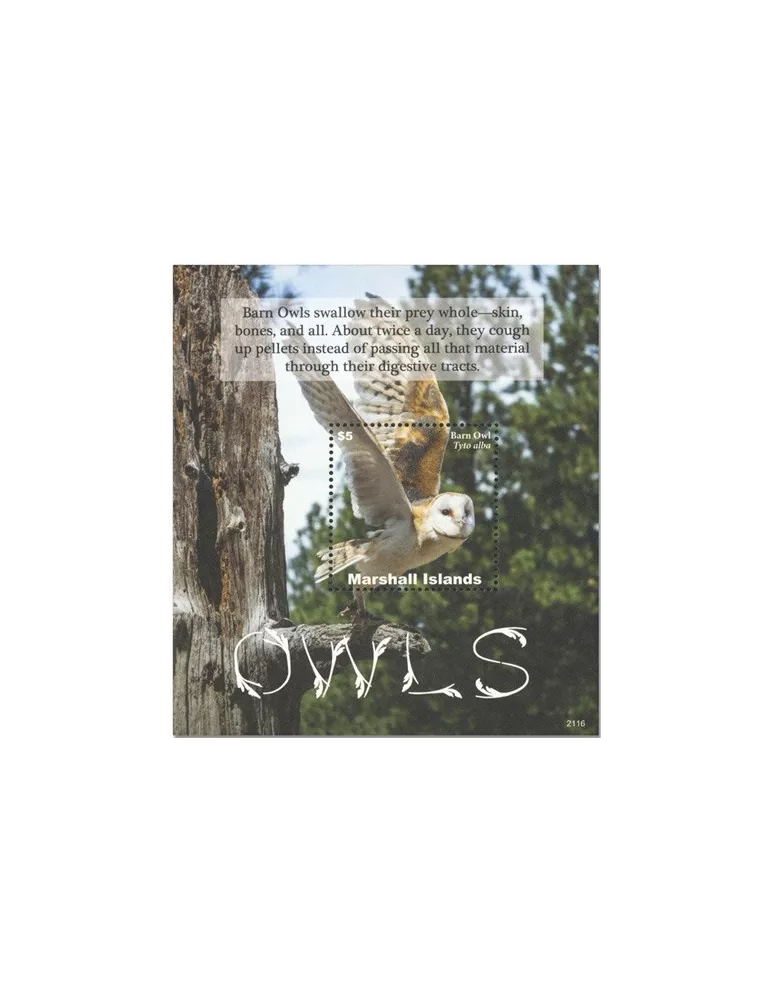 n° 138 - Timbre MARSHALL Blocs et feuillets