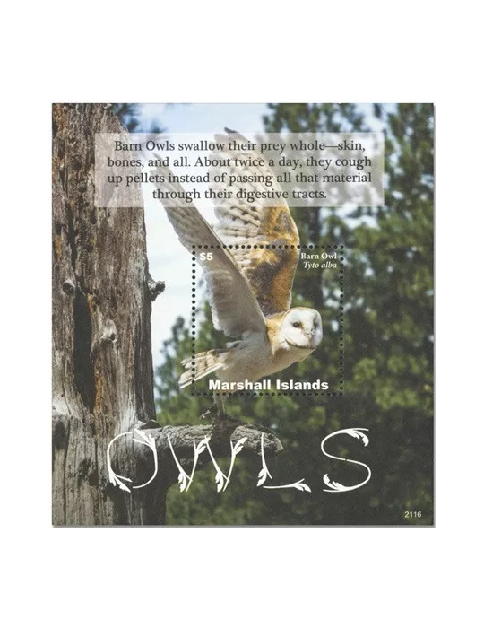 n° 138 - Timbre MARSHALL Blocs et feuillets