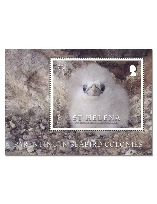 n° 71 - Timbre SAINTE-HELENE Blocs et feuillets