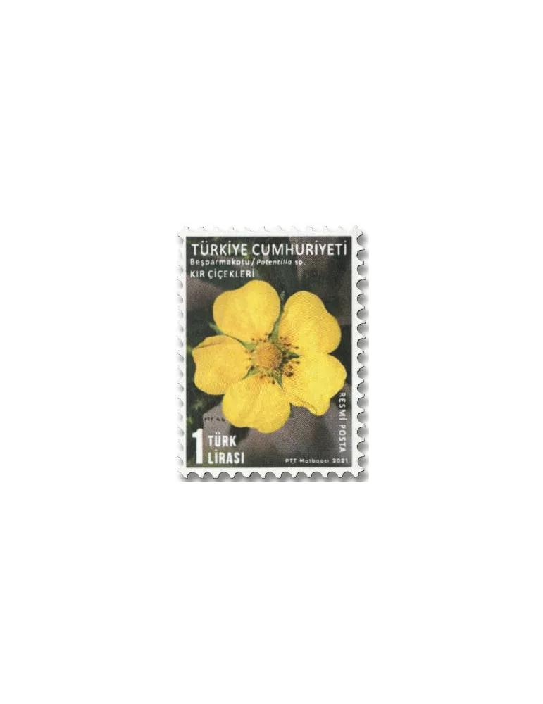 n° 406/410 - Timbre TURQUIE Timbres de service