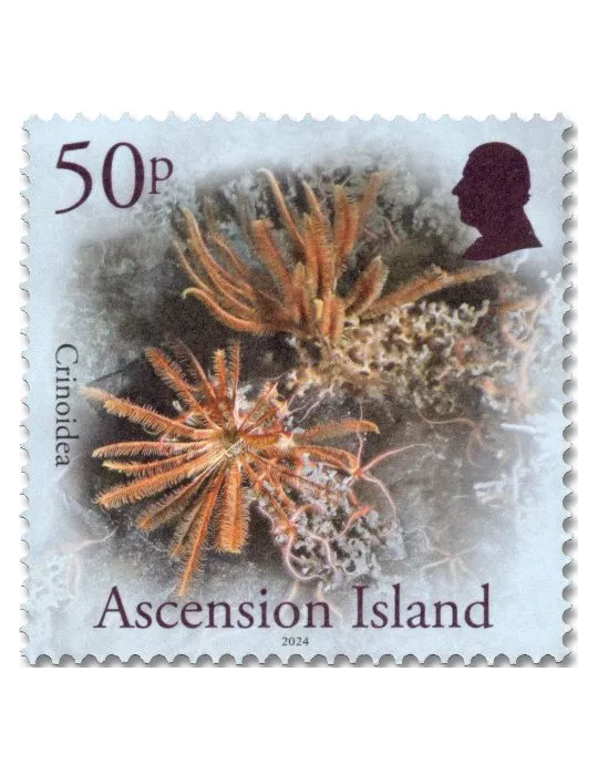 n° 1267/1270 - Timbre ASCENSION Poste