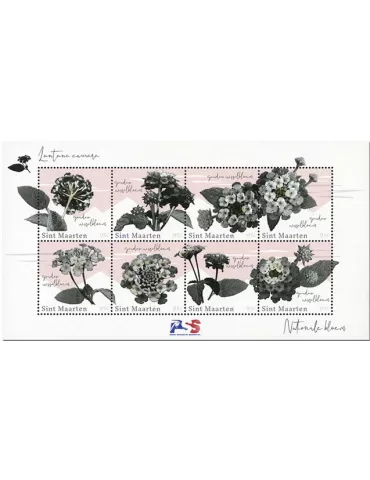 n° 543/550 - Timbre SAINT-MARTIN Poste