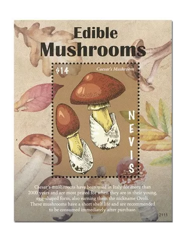 n° 424 - Timbre NEVIS Blocs et feuillets