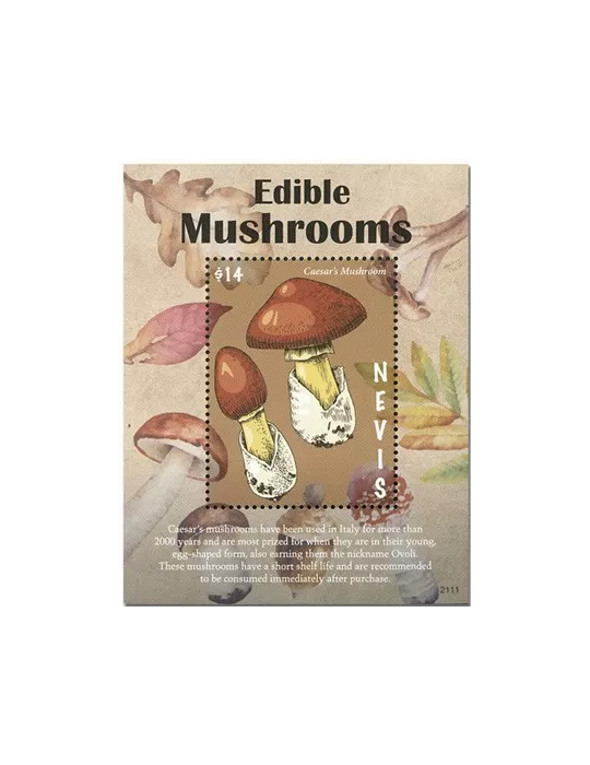 n° 424 - Timbre NEVIS Blocs et feuillets