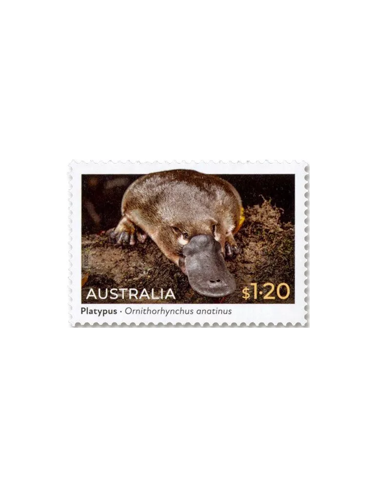 n° 5331/5334 - Timbre AUSTRALIE Poste