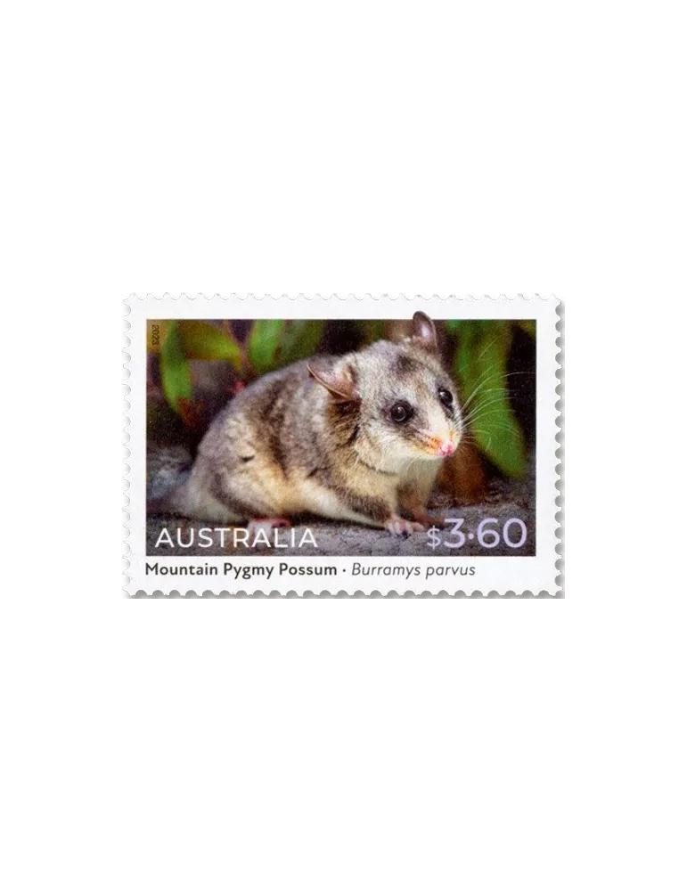 n° 5331/5334 - Timbre AUSTRALIE Poste