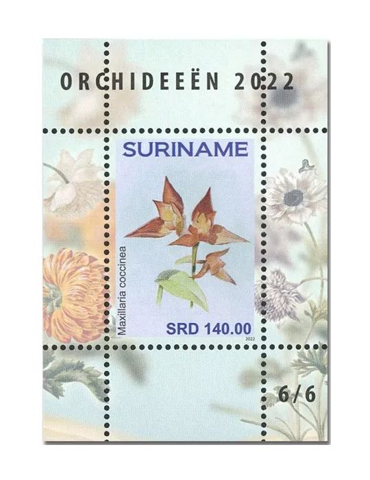 n° 189 à 194 - Timbre SURINAM Blocs et feuillets