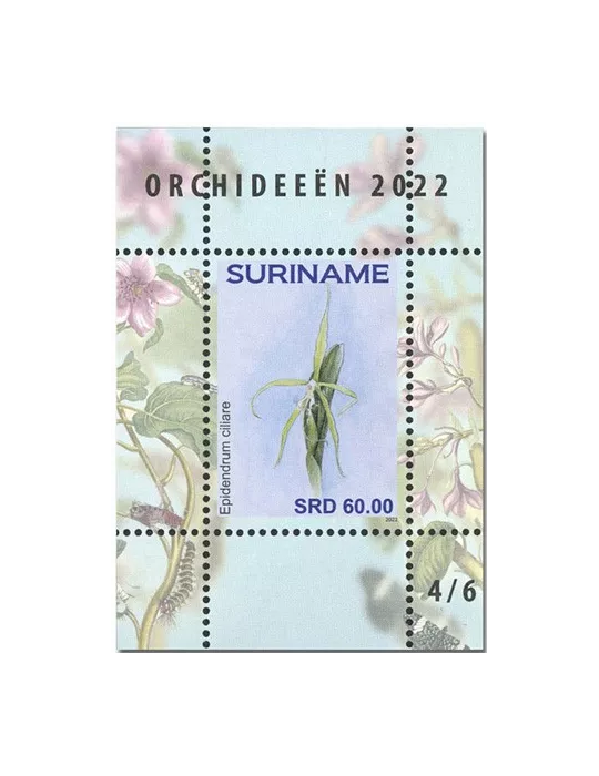 n° 189 à 194 - Timbre SURINAM Blocs et feuillets