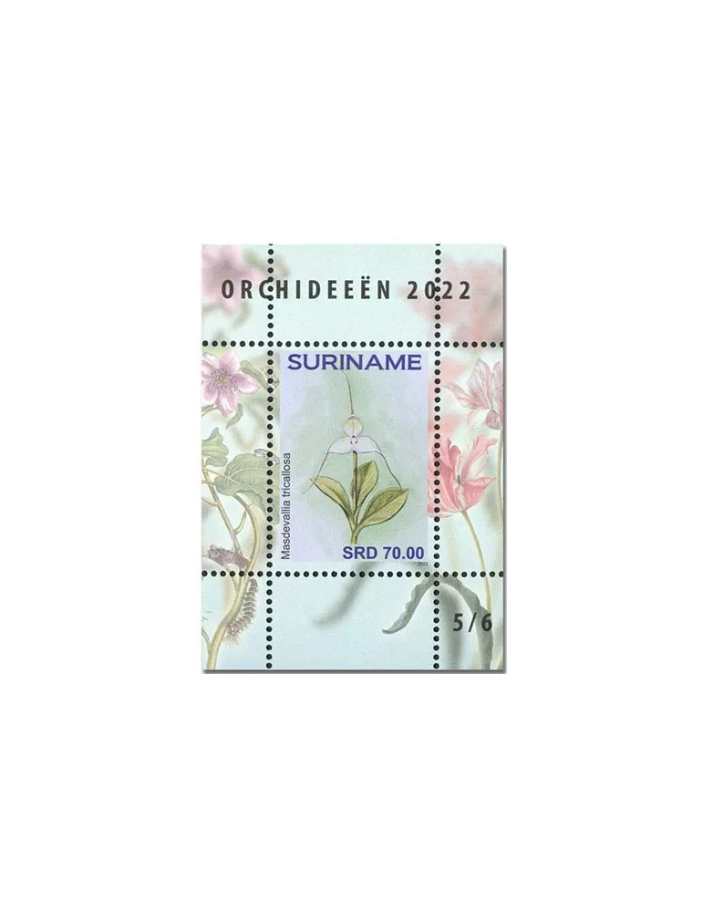 n° 189 à 194 - Timbre SURINAM Blocs et feuillets