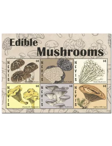 n° 2930/2935 - Timbre NEVIS Poste