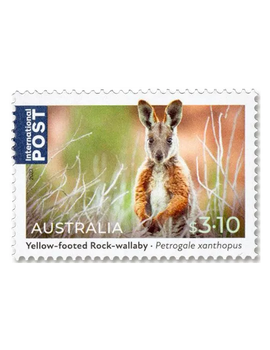 n° 5421/5423 - Timbre AUSTRALIE Poste