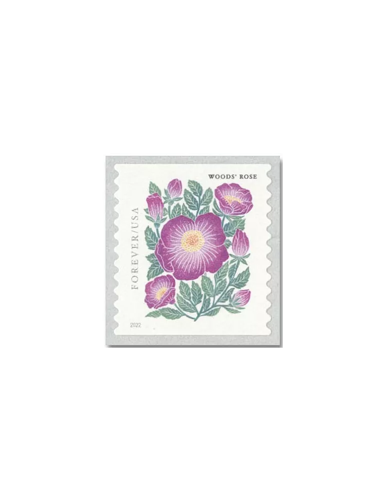 n° 5510a/5513a - Timbre ETATS-UNIS D´AMERIQUE Poste