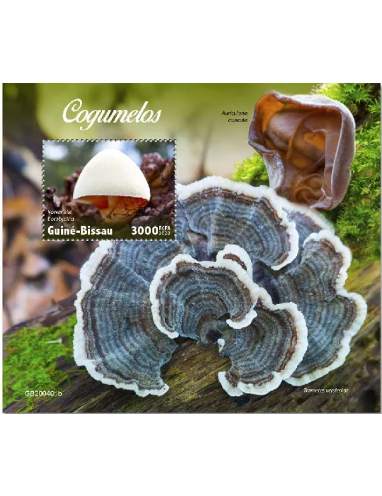 n° 1666 - Timbre GUINEE-BISSAU Blocs et feuillets