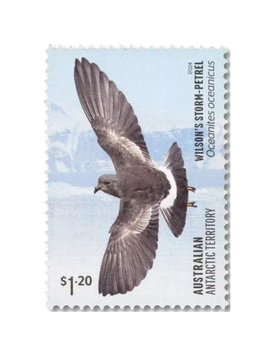 n° 297/300 - Timbre TERRITOIRE ANTARCTIQUE AUSTRALIEN Poste