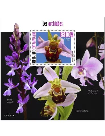 n° 1702 - Timbre CENTRAFRIQUE Blocs et feuillets